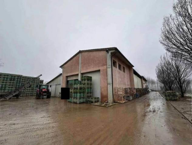 Immobile in asta di 40655 m² in vendita a Morgano - Foto 7