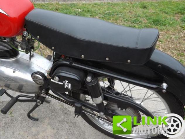 GILERA 150 Sport anno 1955 ( radiata ) completamente restaurata - Foto 10