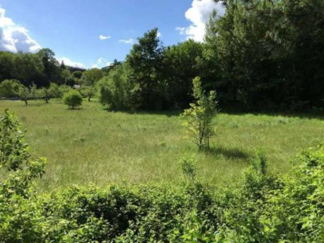 Immobile in asta di 1720 m² in vendita a San Massimo - Foto 3