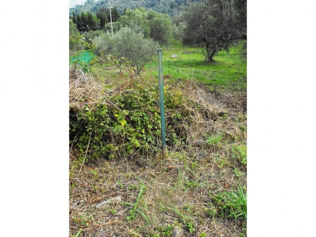 Agricolo in Località Caselle - Foto 10