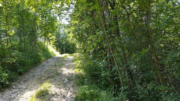 TERRENO AGRICOLO di 4 vani e di 57000 mq (CORNUDA) rif. RT345J_1
