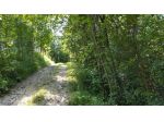 TERRENO AGRICOLO di 4 vani e di 57000 mq (CORNUDA) rif. RT345J_1
