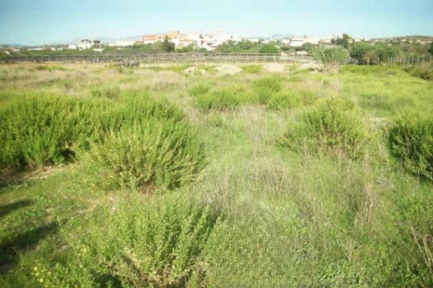 Immobile in asta di 9960 m² in vendita a Marsala - Foto 4