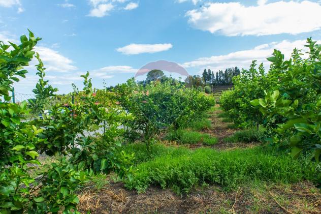 Terreno in vendita a Santa Venerina, Dagala del Re - Foto 20