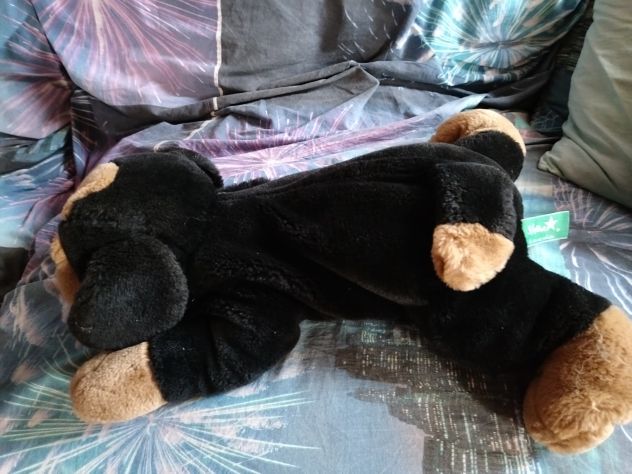 peluche - Foto 10