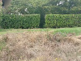 Effettuo lavori di giardinaggio