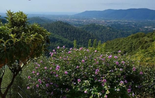 Terratetto in vendita a Santo Stefano di Magra - Foto 7