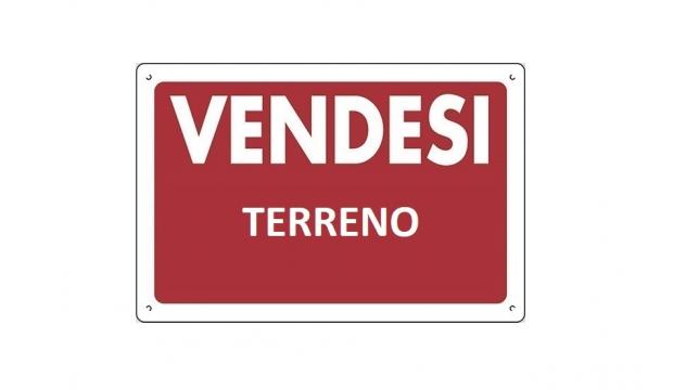 Seminativo in vendita a Massa
