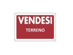 Seminativo in vendita a Massa