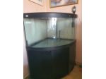 Acquario Angolare
