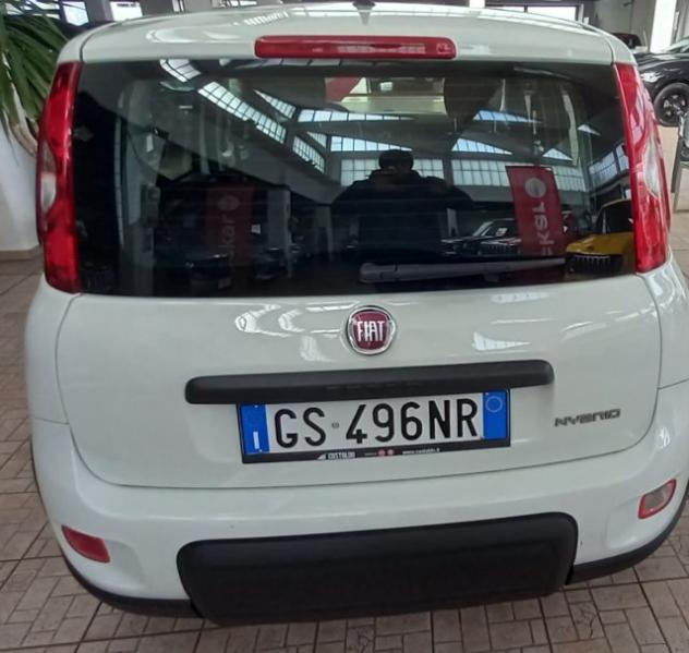 FIAT Panda 1.0 FireFly S&S Hybrid rif. 23349384 - Foto 4