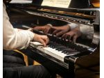 Pianista Siena