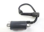 SUZUKI BURGMAN AN 250 3341014F00000 BOBINA ACCENSIONE 01 - 03 IGNITION COIL
