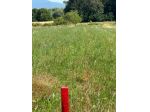 Terreno agricolo in vendita a Quattro Strade - Casciana Terme Lari 1500 mq  &hellip;
