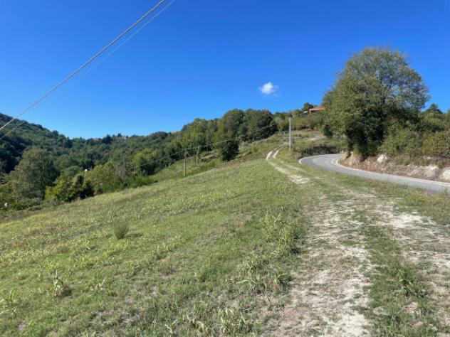 Terreno di 6000 m² in vendita a Pavarolo - Foto 4