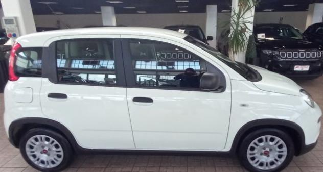 FIAT Panda 1.0 FireFly S&S Hybrid rif. 23349384 - Foto 2