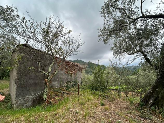 Agricolo in vendita a Arcola - Foto 12
