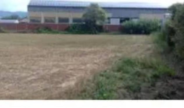 Immobile in asta di 3527 m² in vendita a Arcola - Foto 4