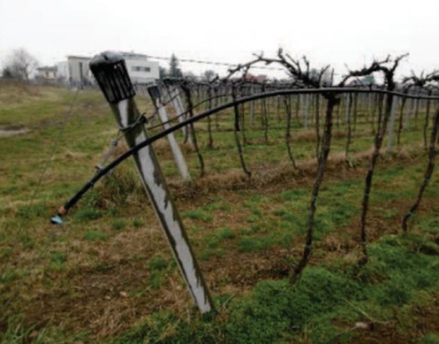 Immobile in asta di 42594 m² in vendita a Pescantina - Foto 3