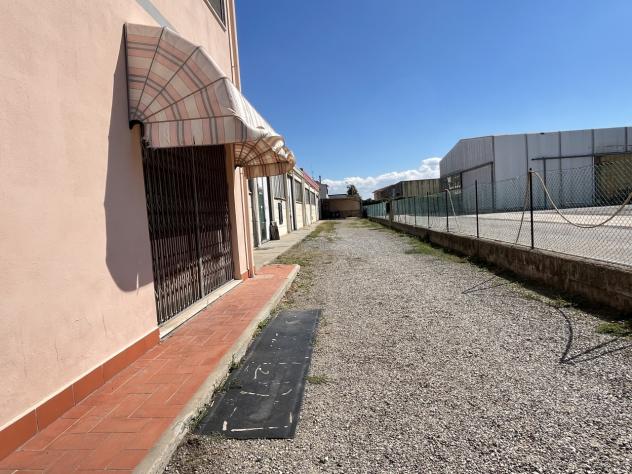 Commerciale in vendita a Rosignano Marittimo - Foto 7