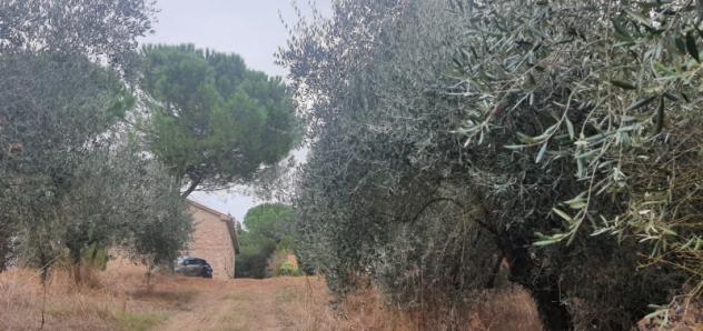 ZONA PILA CASALE RUSTICO DI CIRCA 450 MQ DA RISTRUTTURARE CON TERRENO DI CIRCA 3500 MQ E OLTRE. - Foto 3