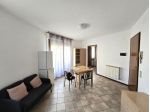 Appartamento in vendita a San Gimignano 42 mq  Rif: 1349986