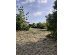 Terreno agricolo in vendita a Arena Metato - San Giuliano Terme 4290 mq  Ri &hellip;