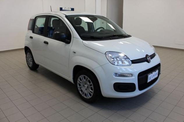 FIAT Panda 1.0 FireFly S&S Hybrid Icon - Foto 3