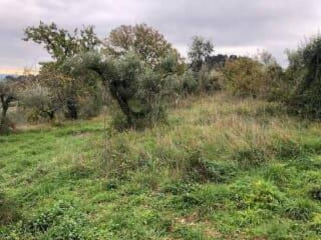 Terreno agricolo in Vendita in zona GHIZZANO con giardino - Foto 5