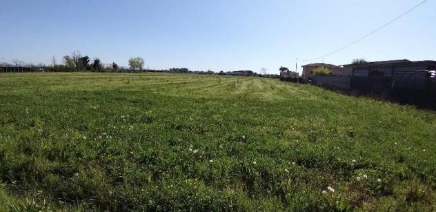Terreno agricolo in vendita a San Giuliano Terme 5440 mq Rif: 450602 - Foto 3