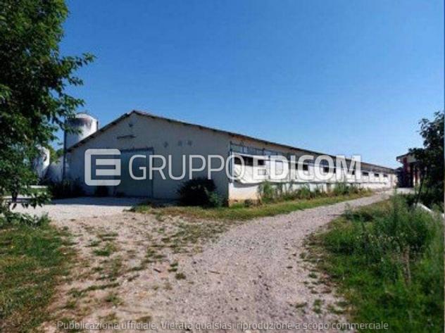Fabbricati per attività agricole di 10588 mq in vendita a Sona - Rif. 4547225 - Foto 3