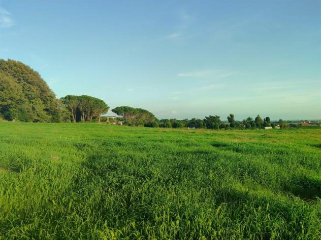 Terreno Agricolo - Rif. 2445 - Foto 17