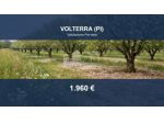 Immobile in asta di 3250 m² in vendita a Volterra