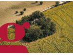 Rustico/Casale/Corte - Montefano . Rif.: V-3309812FMVRG