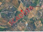 Immobile in asta di 42 m² in vendita a Palombara Sabina