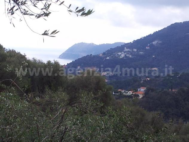 Alassio, terreno collinare vista mare, con piccolissimo rustico. - Foto 6