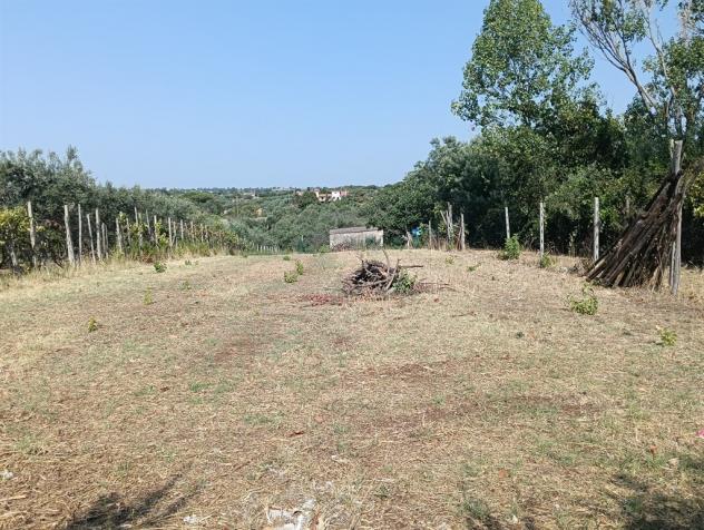 Lanuvio - Foto 2