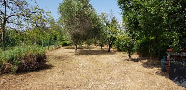 Rustico in vendita a Piombino 70 mq Rif: 1428596 - Foto 6