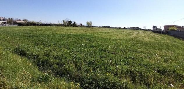 Terreno agricolo in vendita a San Giuliano Terme 5440 mq Rif: 450602 - Foto 2
