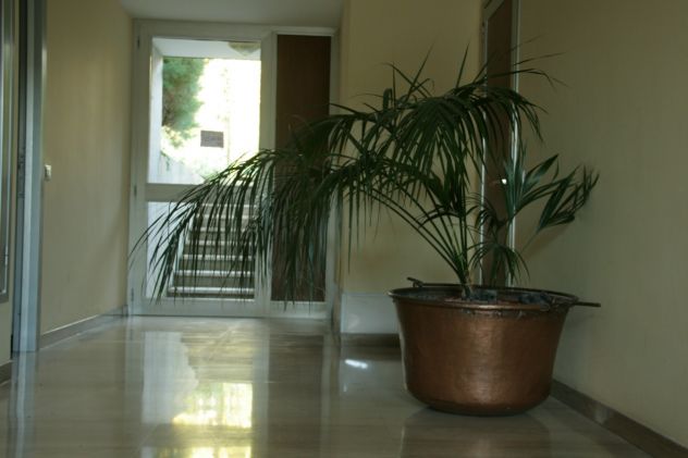 PAIOLO IN RAME GRANDE - Foto 2