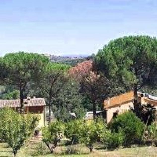 Agrit. Podere Le Tombe - Foto 4