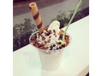 Alassio, nel Budello di ponente cedesi avviata yogurteria.