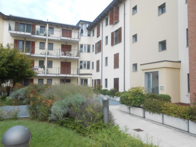 Bilocale in affitto a Pavia - Foto 15