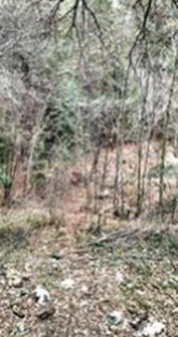 Immobile in asta di 4500 m² in vendita a Albenga - Foto 6