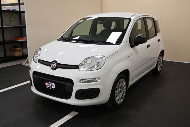 FIAT Panda 3ª serie Panda 1.0 FireFly S&S Hybrid - Foto 4