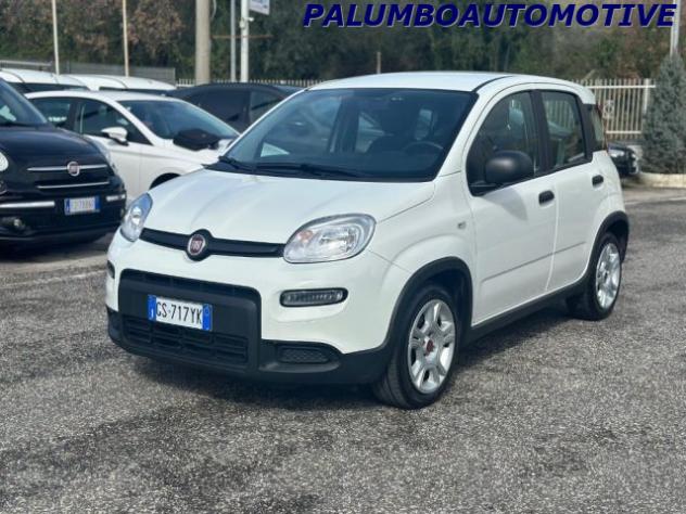 FIAT Panda 1.0 FireFly S&S Hybrid rif. 24039639