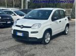 FIAT Panda 1.0 FireFly S&S Hybrid rif. 24039639