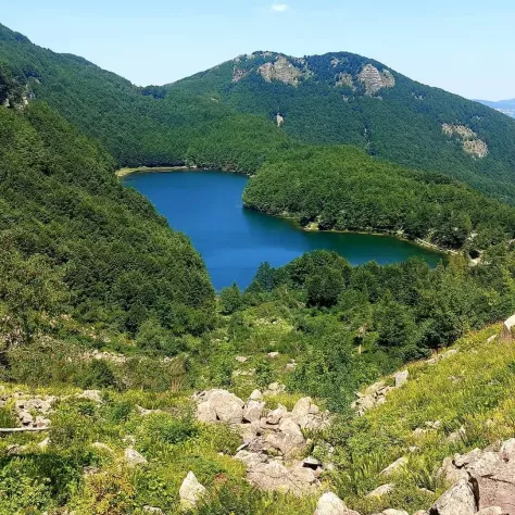 Affittasi appartamento a Tagliole - Foto 9