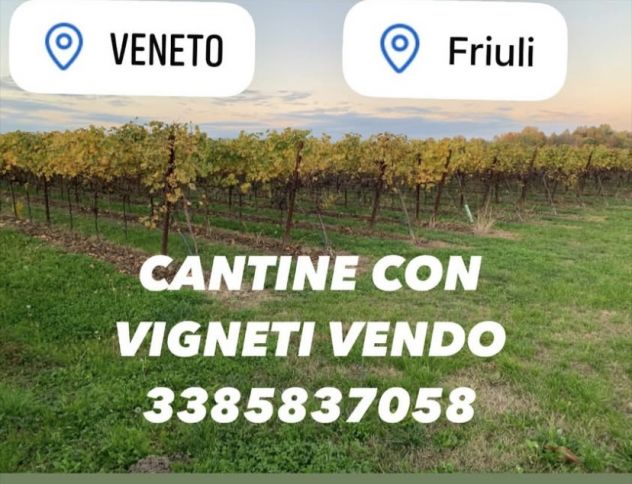 CANTINE CON VIGNETI DI PROSECCO DOC - Foto 5