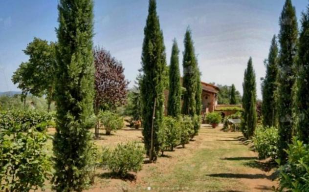 Vendesi Casale Con Vista Panoramica Su Cortona Rif. V154 - Foto 6